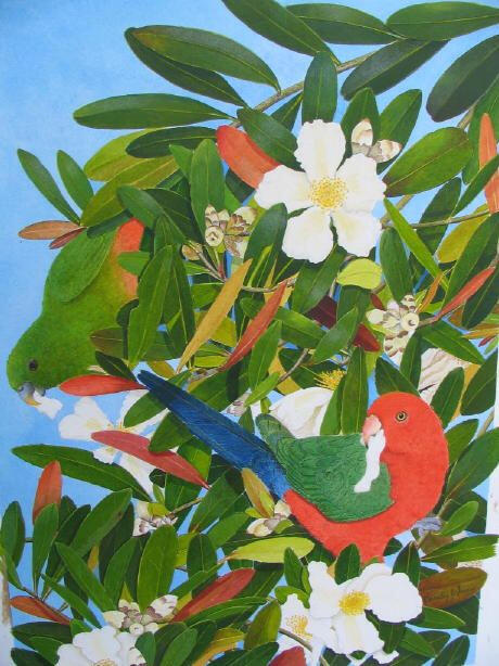 Two king parrots eating flowers on a gumtree